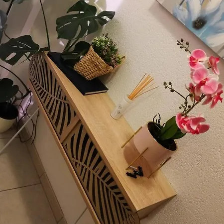 شقة Joy تْسافتات