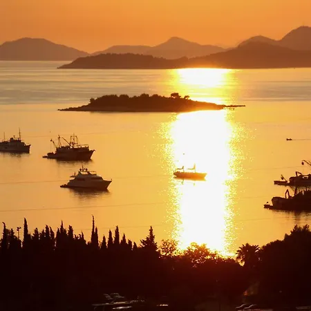 Joy 公寓 察夫塔特