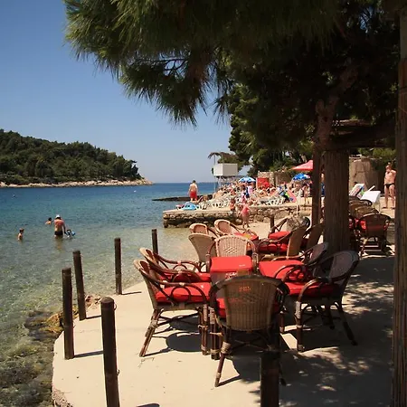 Joy Appartement Cavtat