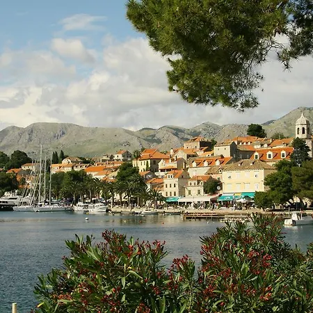 Joy Cavtat