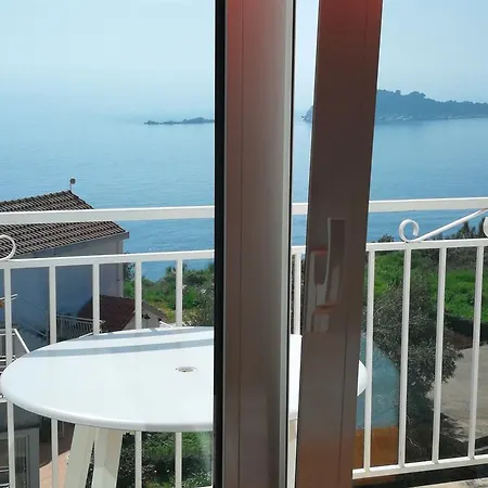 Joy * Cavtat