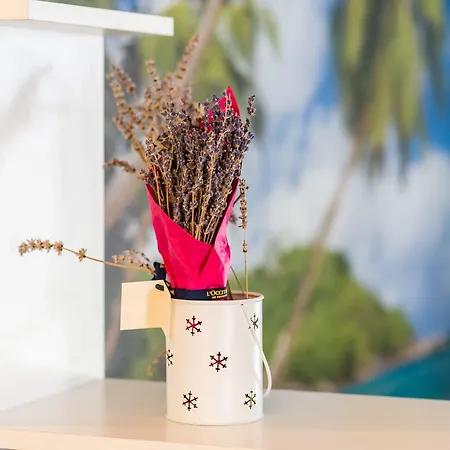 Joy 公寓 察夫塔特