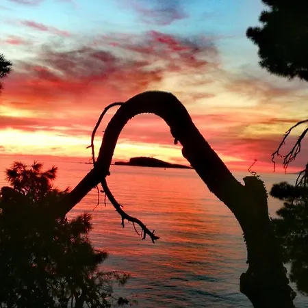 Joy * Cavtat