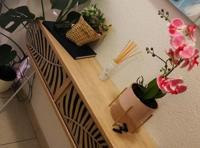 公寓 快乐公寓 察夫塔特